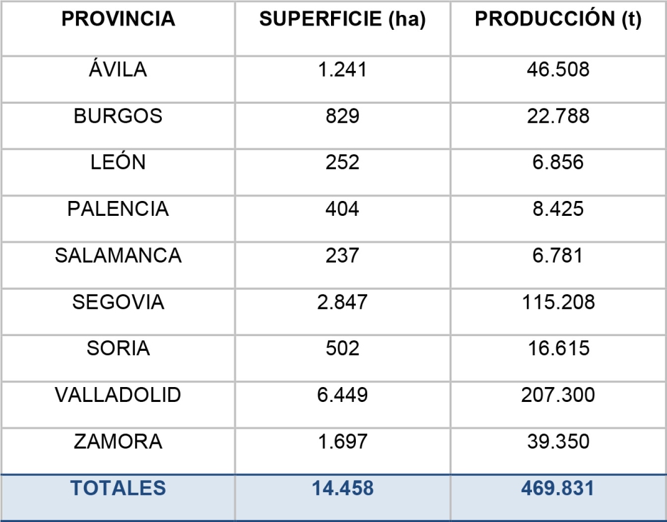 Superficie y produccin actual de cultivos hortcolas en las provincias de Castilla y Len. Fuente: JCYL