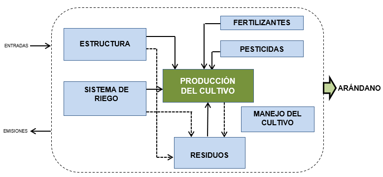 Figura 1. Diagrama de flujo para las fases consideradas en cada sistema de produccin de arndano