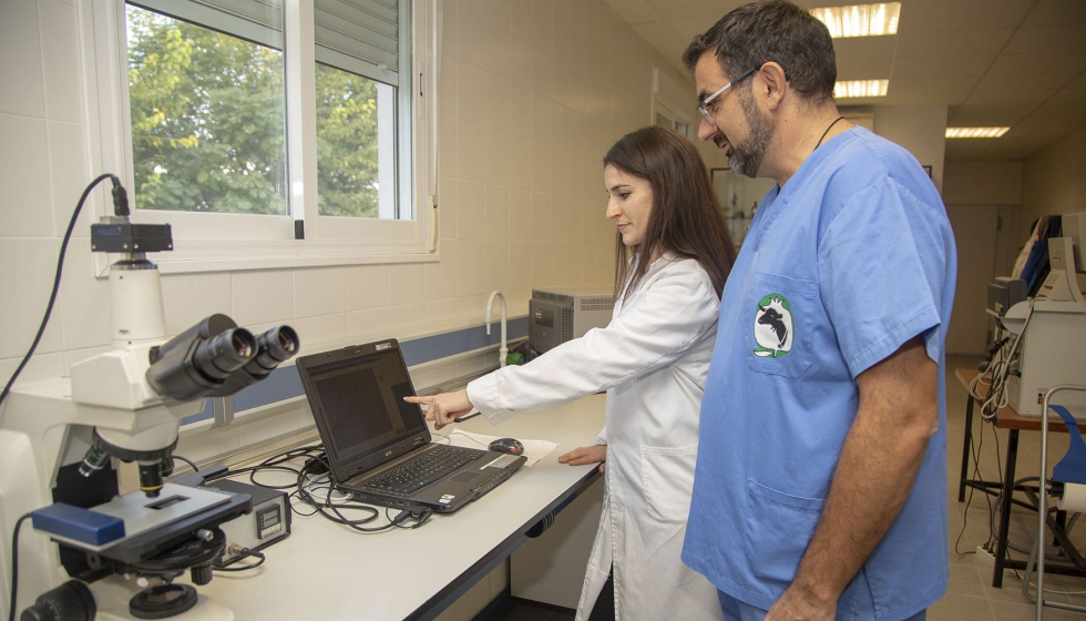 Trabajo de laboratorio