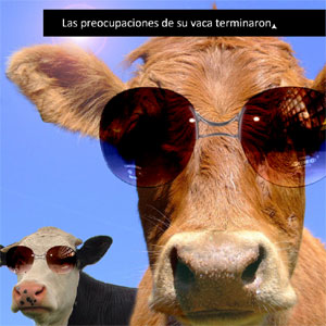 Una de las imgenes de la campaa publicitaria del transporte de ganado sostenible creado por Cepeda