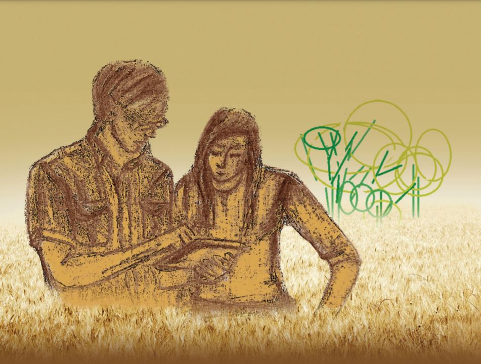 Imagen