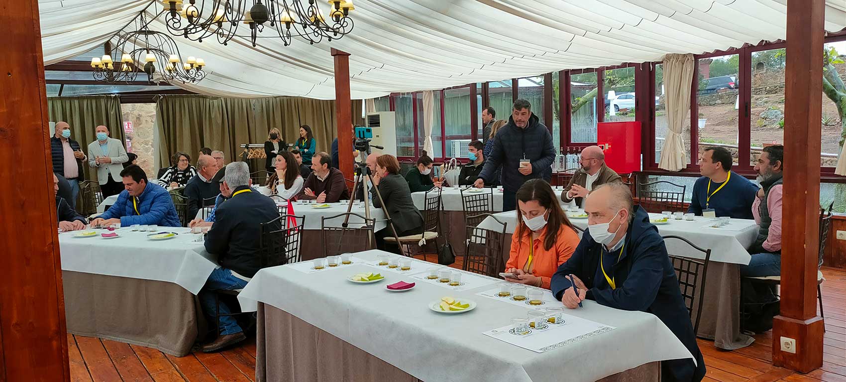 La cata de los tres aceites ganadores de la Cata-Concurso Aceites Tempranos de la Provincia de Badajoz fue de nuevo uno de los puntos lgidos de la...