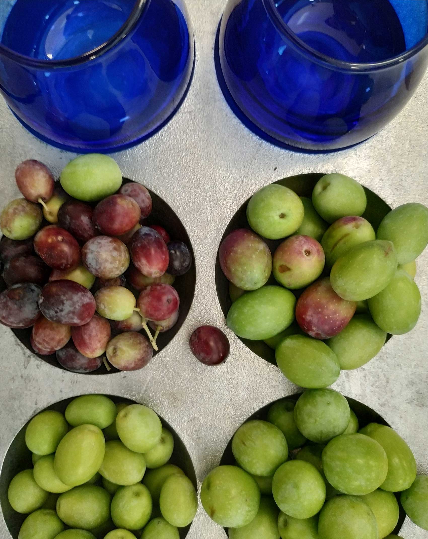 Frutos de las variedades Oblica, Levantinka, Istarska bjelica y Rosulja