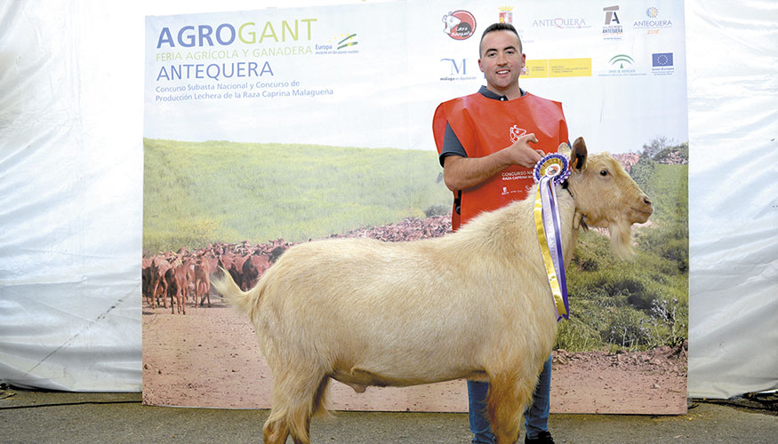 Francisco Jesús Albarrán Sánchez, ganadero de la raza caprina Malagueña, durante la celebración de una edición anterior de Agrogant... Francisco Jesús Albarrán Sánchez, ganadero de la raza caprina Malagueña, durante la celebración de una edición anterior de Agrogant...