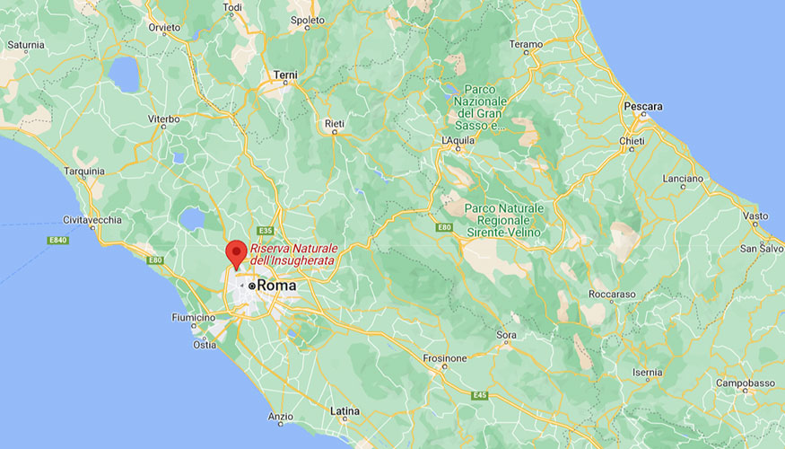 Localizacin del foco de peste porcina africana en la reserva natural de Insugherata, dentro del municipio de Roma