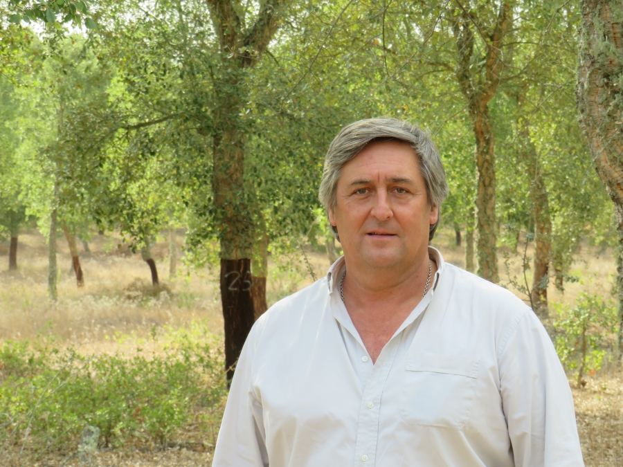 "Temos duas grandes fileiras florestais  a cortia e a pasta de papel - que so exportadoras...
