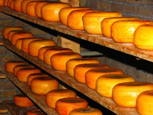 Los nuevos sensores determinan, incluso, el grado de curacin de los quesos. Foto: Michel Meynsbrughen