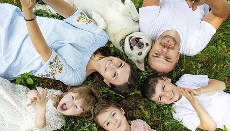 La Leishmaniosis Canina tiene una incidencia en nuestro pas de hasta un 30%...