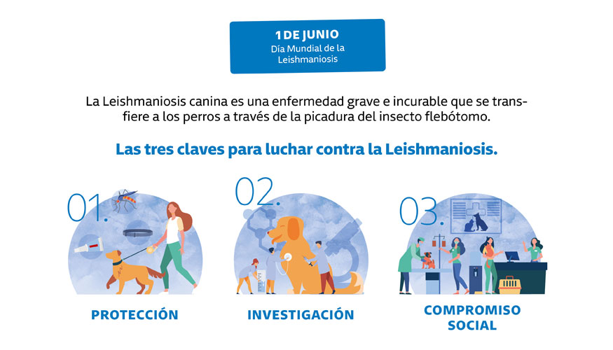 La Leishmaniosis Canina es una enfermedad grave e incurable que puede tener consecuencias fatales para la salud del perro...