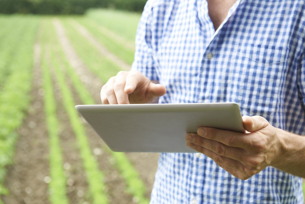 BASF sigue invirtiendo en servicios digitales para una agricultura ms sostenible, en lnea con las indicaciones del Pacto Verde Europeo...