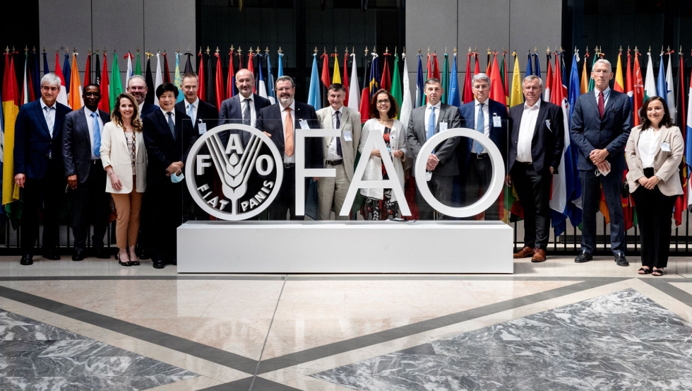 Miembros de las delegaciones de CEMA y FAO en el encuentro mantenido en Roma el 9 de junio