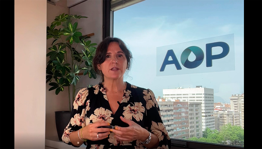 Ins Cardenal Gortzar, directora de Comunicacin y Asuntos Legales de AOP