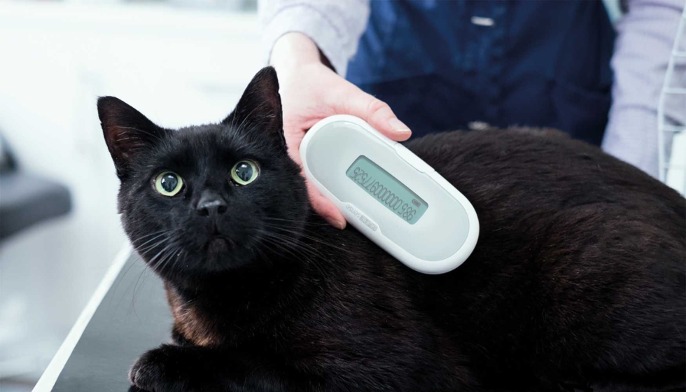 La temperatura es un indicador fundamental para conocer el estado de salud de las mascotas