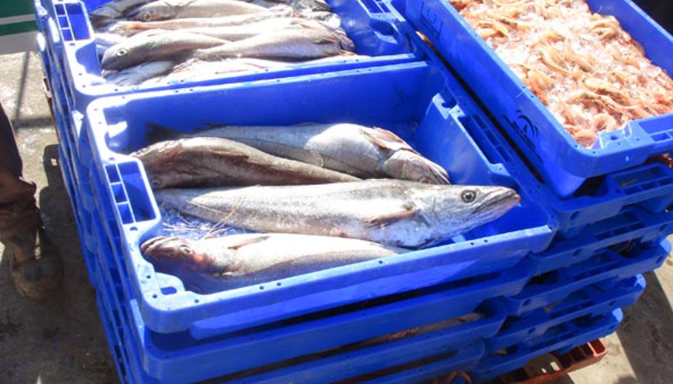 Ejemplares de merluza y gamba blanca en una lonja andaluza. Foto: Alberto Arias /ICMAN