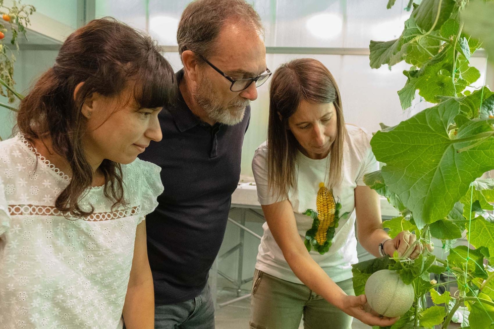 Los investigadores con un meln cantalupo (de izquierda a derecha, Andrea Giordano, Jordi Garcia-Mas y Marta Pujol)...