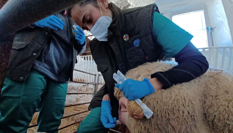 Toma de muestras de hisopo vaginal