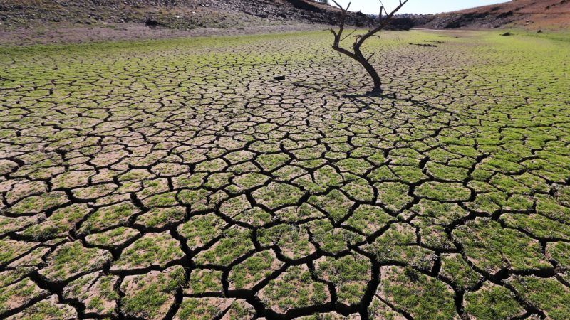 Efectos de la sequa que sufre Portugal. Foto: EPA-EFE/NUNO VEIGA