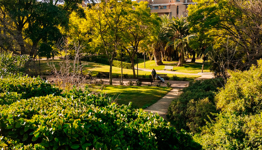 Los jardines de Polifilo, Valencia