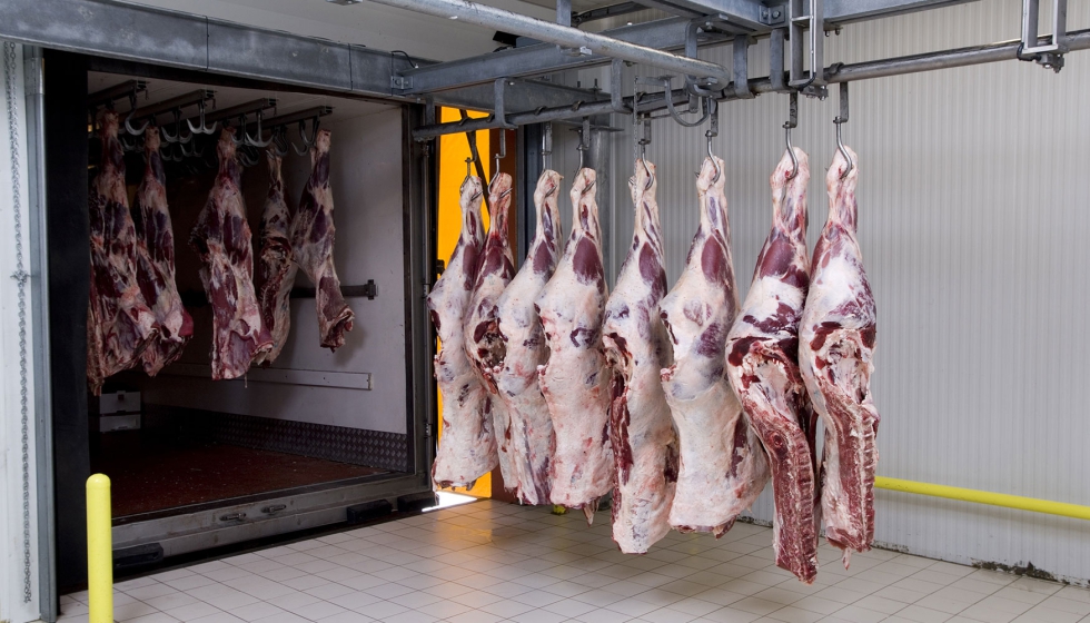 Canales de carne en el interior de una industria