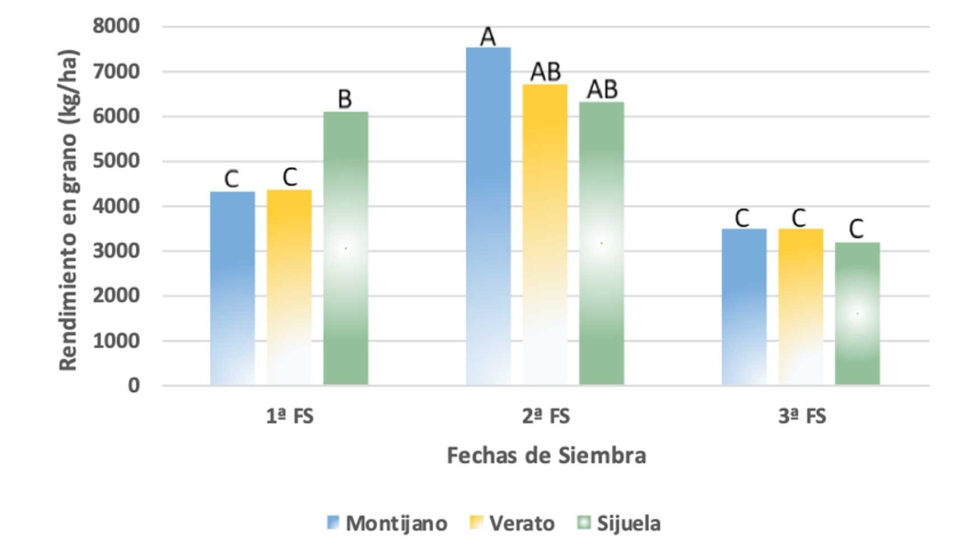 Figura 2. Influencia de la interacci�n entre el genotipo y la fecha de siembra en el rendimiento en grano del triticale