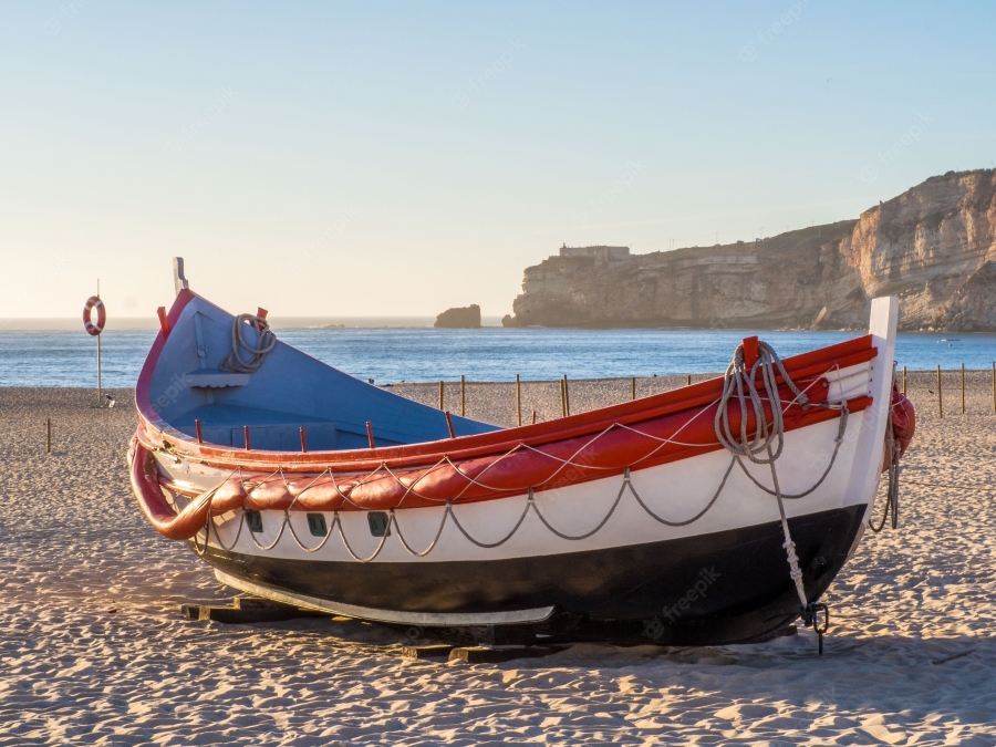 A condio geogrfica de Portugal, pas mais ocidental da Europa,  de grande importncia para o desenvolvimento do setor das pescas...