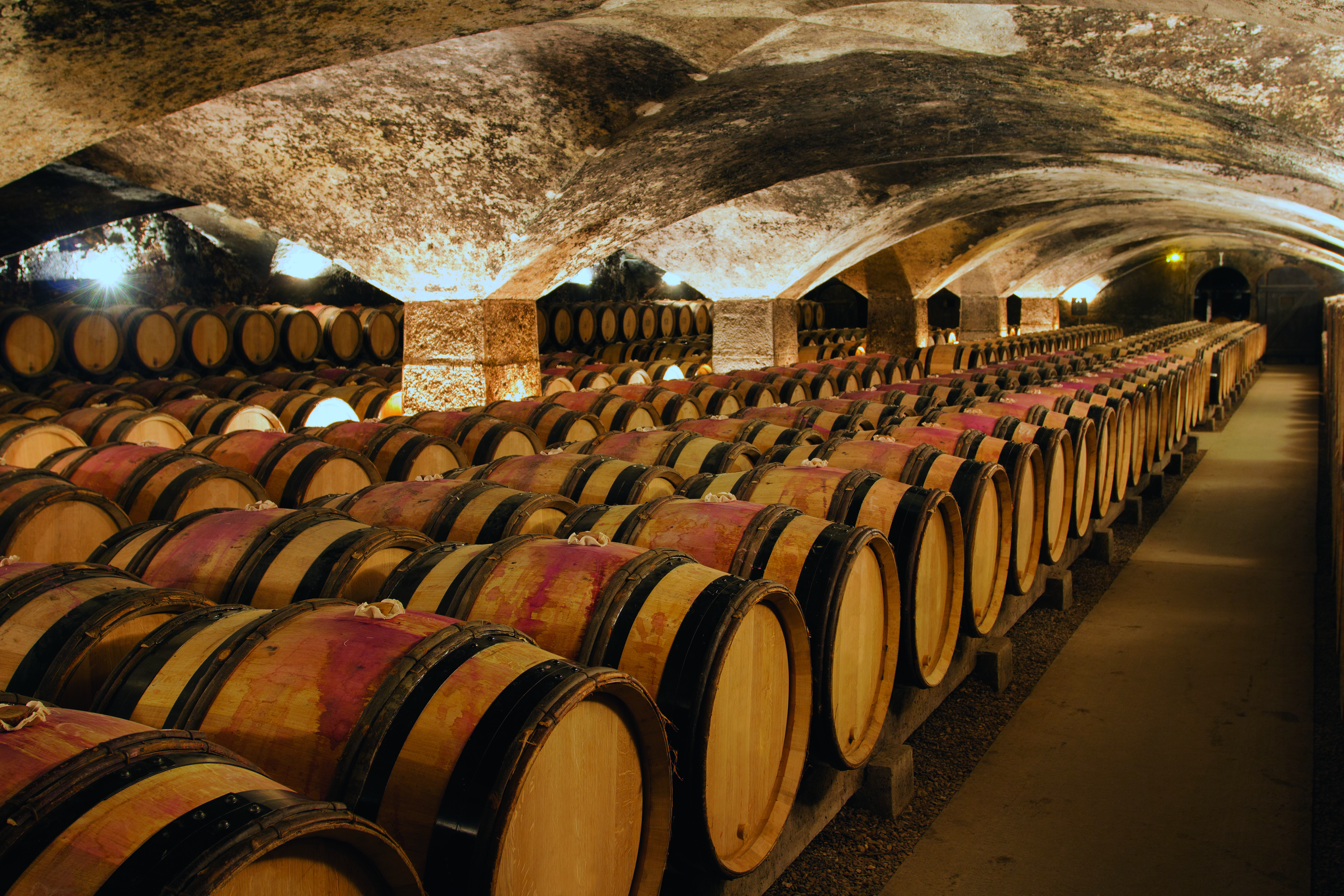 Imagen de la sala de maduraci�n de una bodega