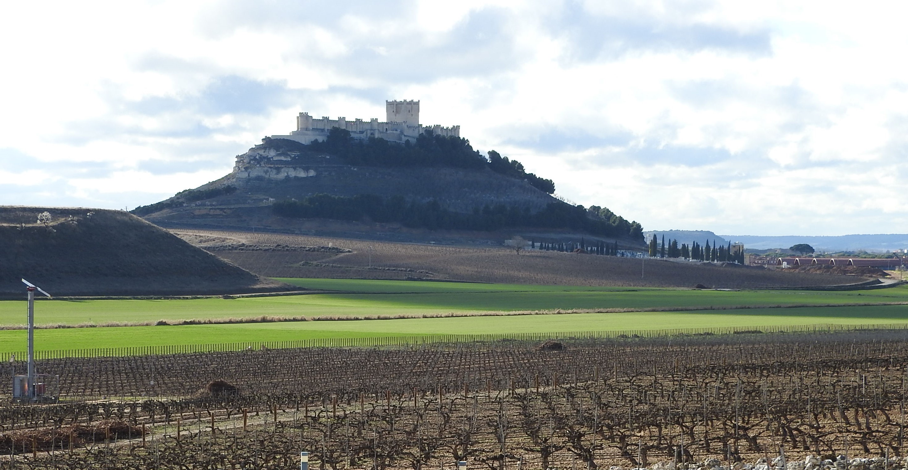 Vi�edos del Pago de Carraovejas con el castillo de Pe�afiel, sede del Museo del Vino de la Ribera de Duero, al fondo...
