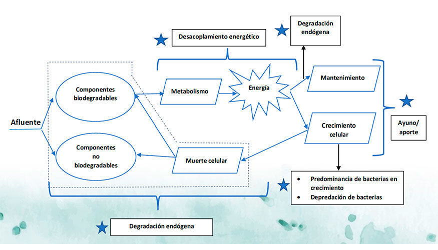 Figura 4: Base cientfica (bilgica) SystemO)): alternancia de condiciones aerbicas y anaerbicas...