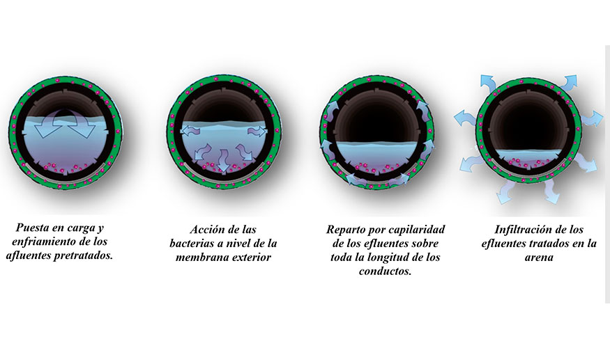 Figura 5: Fases del tratamiento