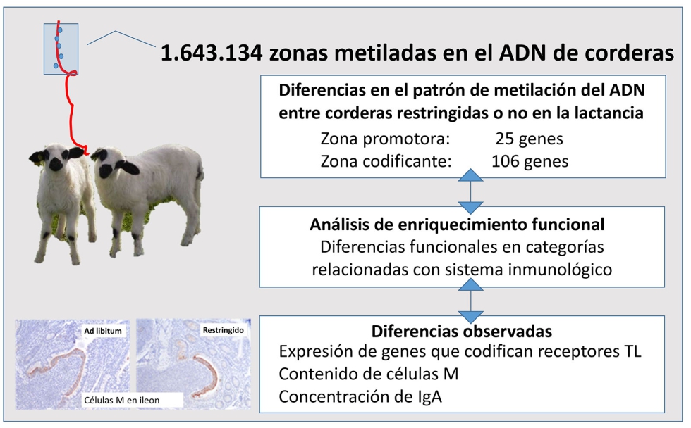 Figura 2...