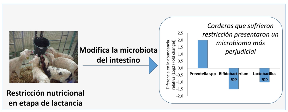 Figura 3...