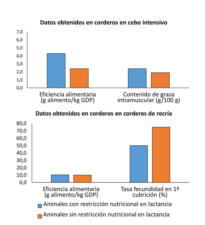 Figura 4. Efecto de la restricci�n nutricional durante la lactancia en par�metros productivos en corderos de cebo y corderas de recr�a...