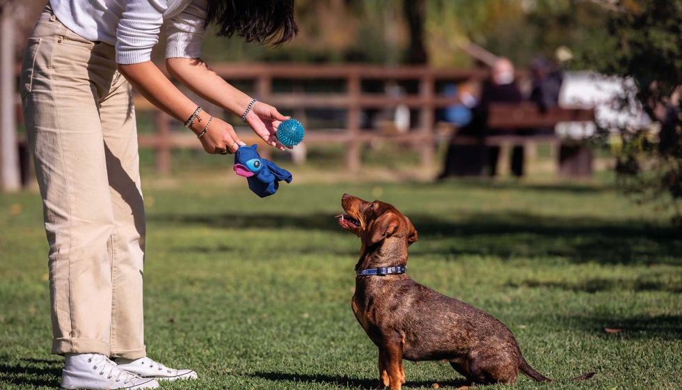 La lnea For Fan Pets del Grupo Cerd pretende ayudar a hacer crecer el vnculo entre propietarios y mascotas