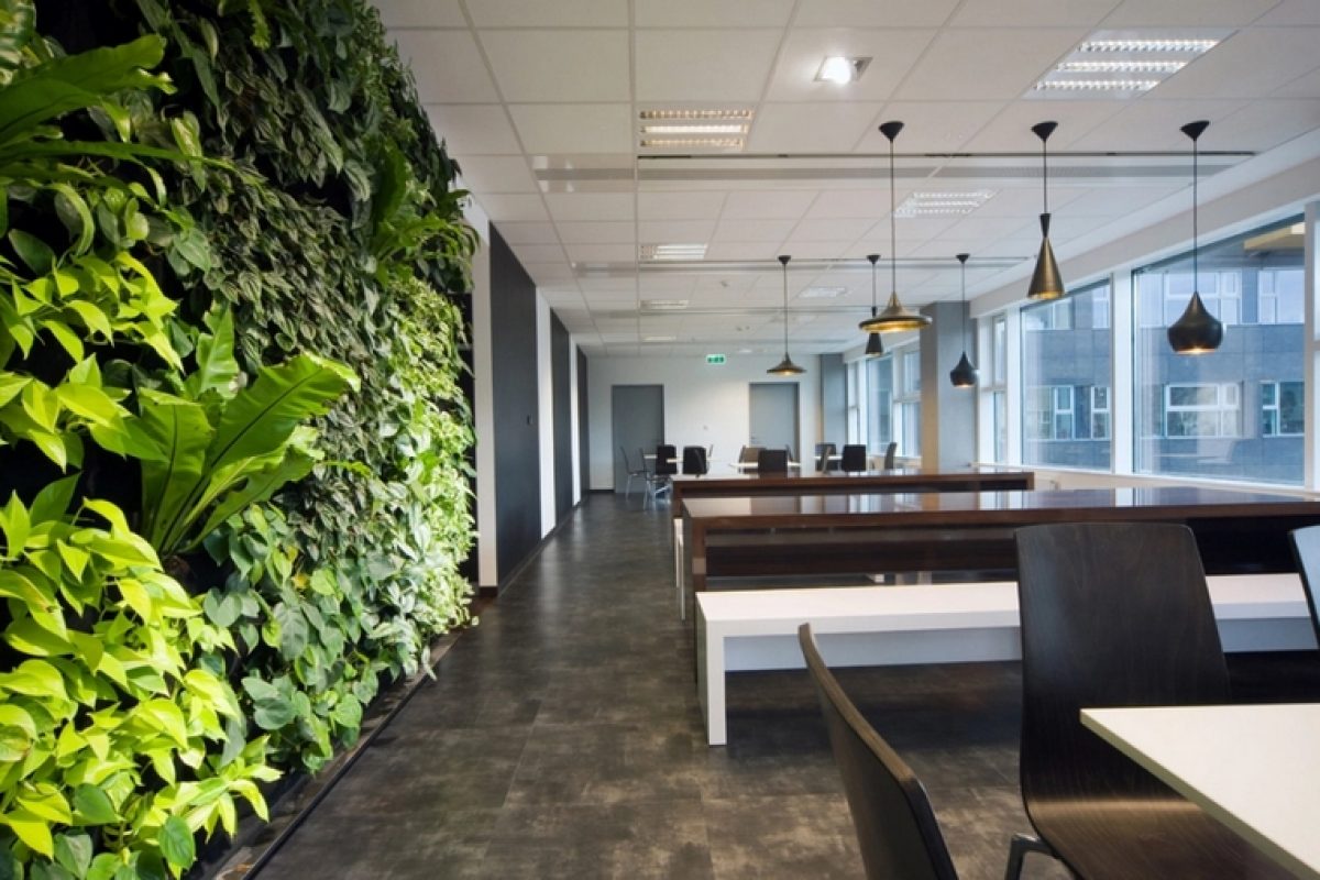 Spanish companies incorporate biophilic design in their environments to increase their workers welfare and productivity