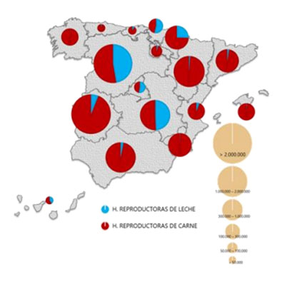Figura 4. Distribución territorial del censo ovino de leche y de carne