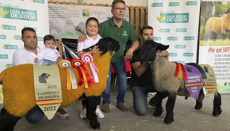 Entrega de premios a los Campeones de Espaa 2022