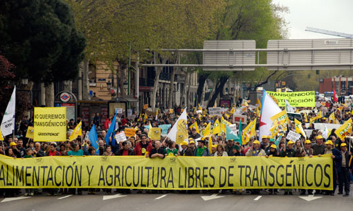 Cabecera de la manifestacin 'Por una alimentacin y una agricultura libres de transgnicos'