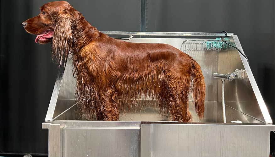 Bañeras Para Perros - Bañera Peluquería Canina