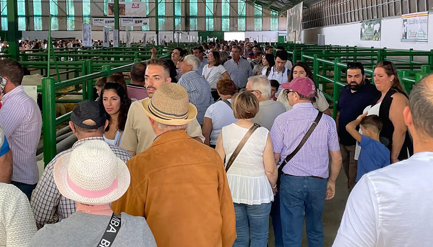 Trnsito de visitantes en la ltima edicin de la Feria de Zafra