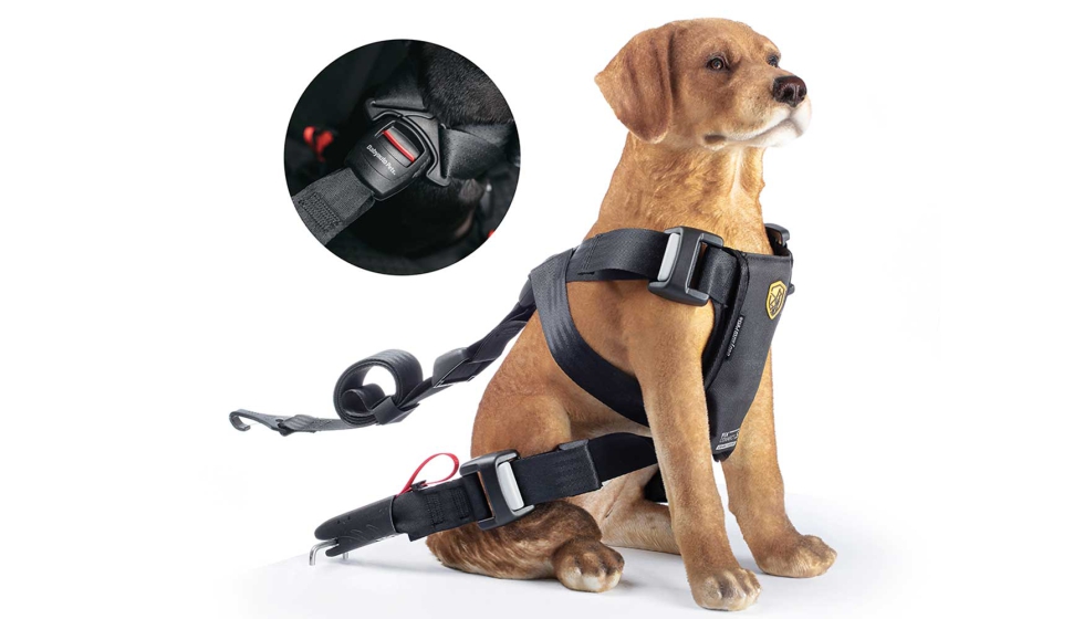 Travel Fix · S - ¡Protege a tu perro en el coche con nuestro arnés de  seguridad con sistema de anclaje isofix!
