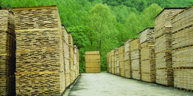 AEIM madera importaciones