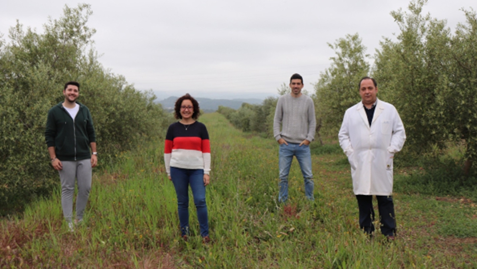 Equipo de investigacin de la Universidad de Crdoba que trabaja en el proyecto Diverfarming