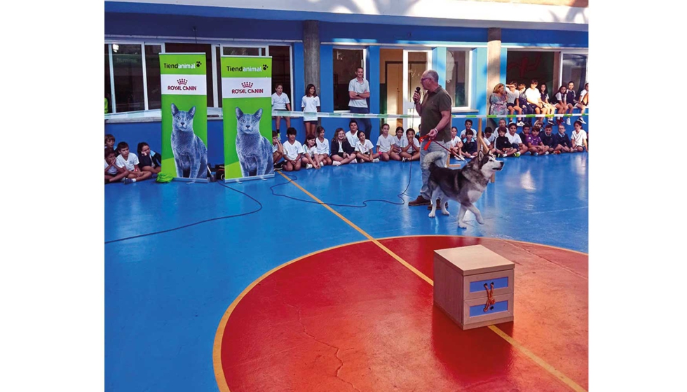 Ocho perros, educados para realizar terapia con nios, les ensearn todo lo que son capaces de hacer en los patios de estos colegios...