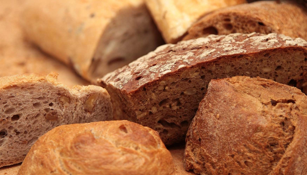 El estudio incluye el contenido de gluten y fructanos en 48 tipos de pan de gran consumo en Espaa