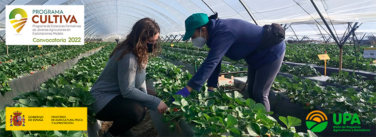 Arranca La Tercera Edici n Del Programa Cultiva Para La Formaci n De Arranca La Tercera Edici n Del Programa Cultiva Para La Formaci n De