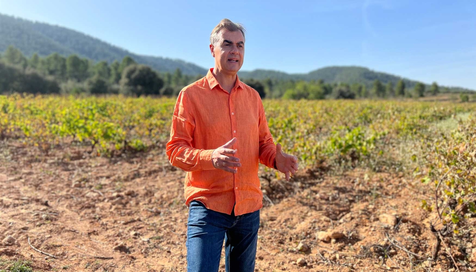 Las vias de Rafael Cambra en Casa Bosca donde se planta la Forcall estn al pie de la Sierra de LOmbria y la Sierra Grosa...