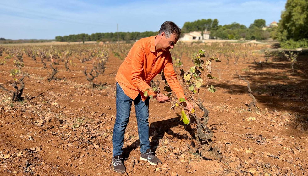 Cerca de la parcela San Franco, el suelo con el que trabaja la via Rafael Cambra no se lo pone fcil, al encontrarse prximo a la montaa...