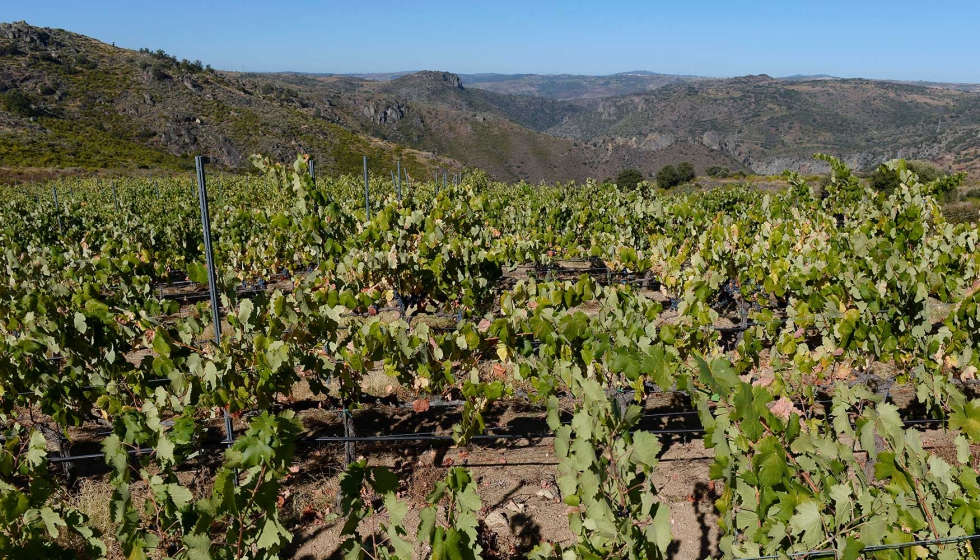 Ensayo en Arribes del Duero