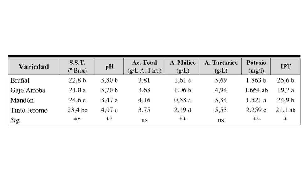 Tabla 3. Valores medios de 2015-2018 de los parmetros de la uva de Brual Gajo Arroba, Mandn y Tinto Jeromo. Significacin estadstica (Sig...