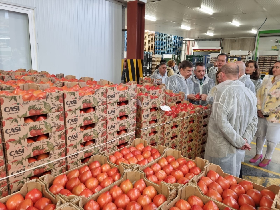 Luis Planas durante su visita hoy a las instalaciones de la Cooperativa Agrcola San Isidro (CASI)